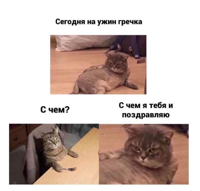 Мем про кота и гречку